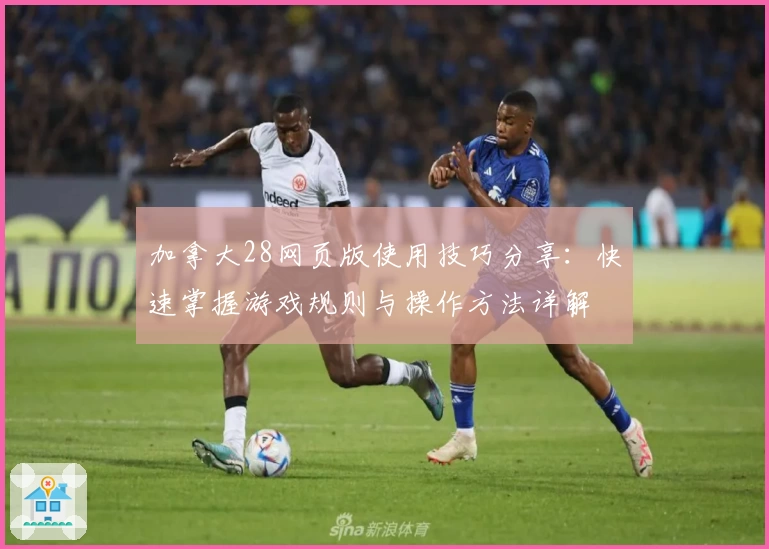 加拿大28网页版使用技巧分享：快速掌握游戏规则与操作方法详解