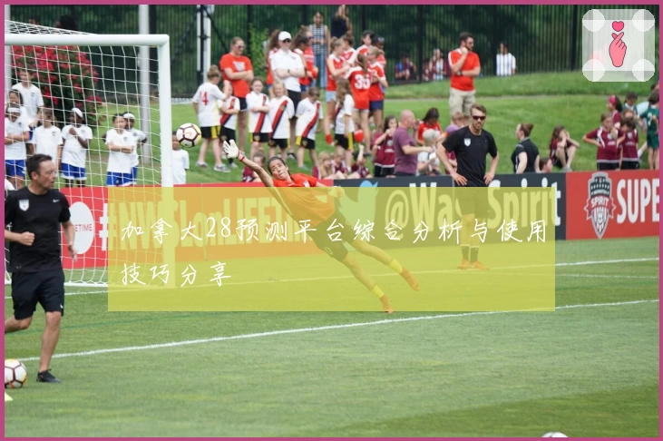 加拿大28预测平台综合分析与使用技巧分享