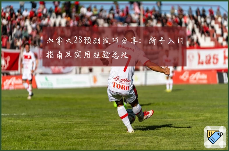 加拿大28预测技巧分享：新手入门指南及实用经验总结