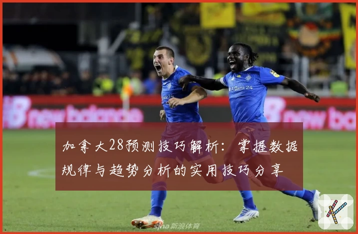 加拿大28预测技巧解析：掌握数据规律与趋势分析的实用技巧分享