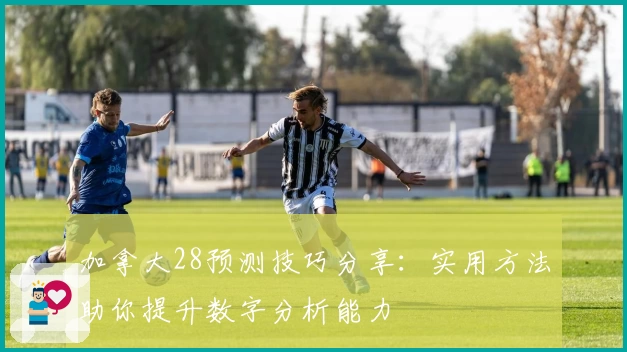 加拿大28预测技巧分享：实用方法助你提升数字分析能力