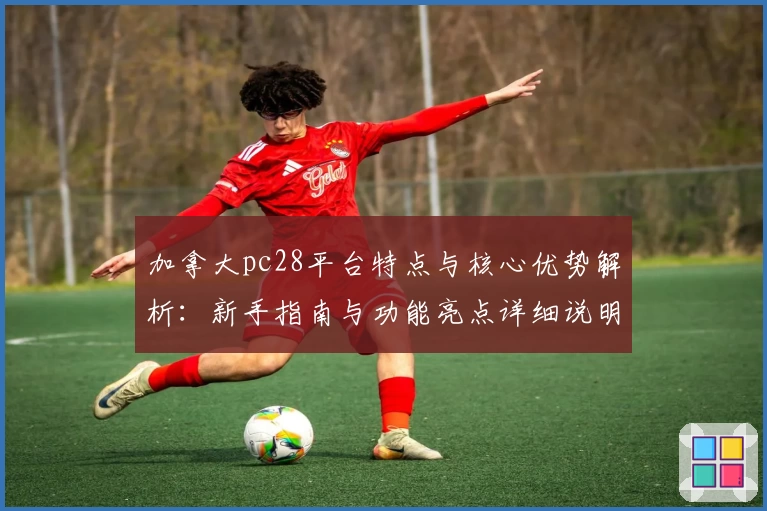 加拿大pc28平台特点与核心优势解析：新手指南与功能亮点详细说明