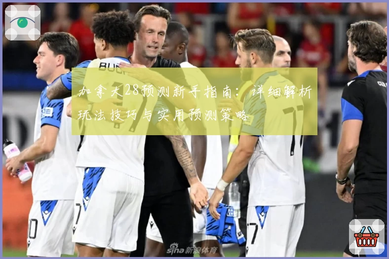 加拿大28预测新手指南：详细解析玩法技巧与实用预测策略
