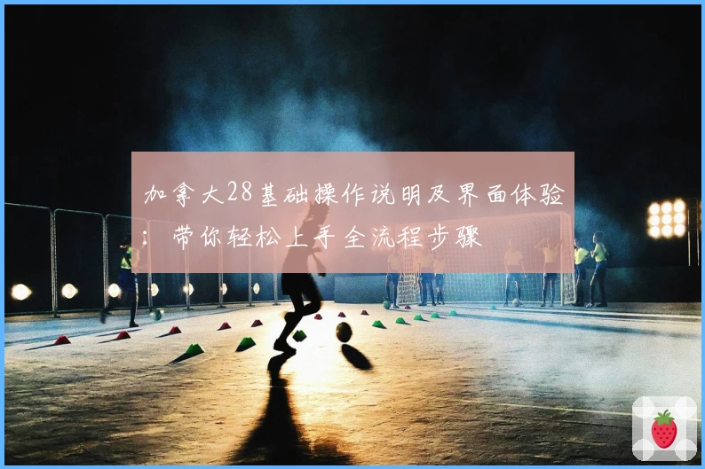 加拿大28基础操作说明及界面体验:带你轻松上手全流程步骤