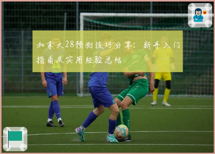 加拿大28预测技巧分享：新手入门指南及实用经验总结