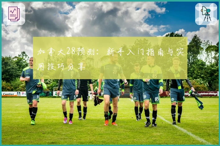 加拿大28预测：新手入门指南与实用技巧分享