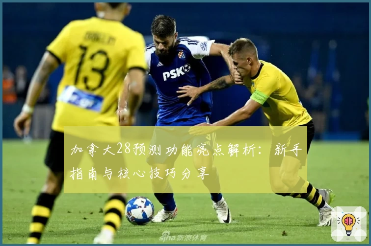 加拿大28预测功能亮点解析：新手指南与核心技巧分享