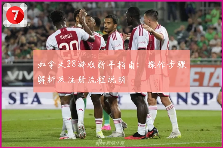 加拿大28游戏新手指南：操作步骤解析及注册流程说明