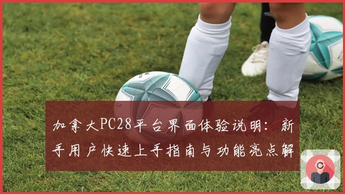 加拿大PC28平台界面体验说明：新手用户快速上手指南与功能亮点解析