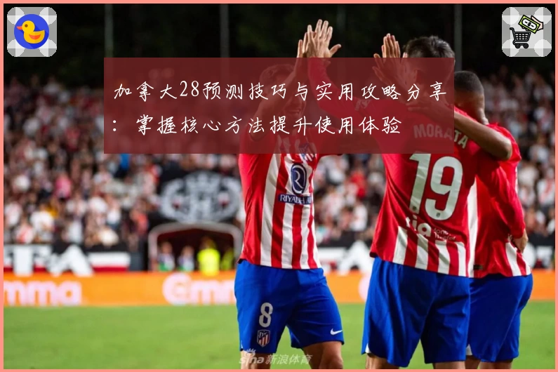 加拿大28预测技巧与实用攻略分享：掌握核心方法提升使用体验