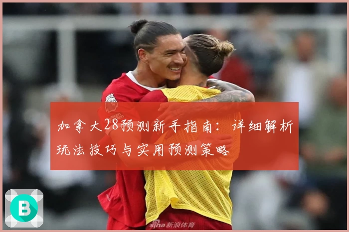 加拿大28预测新手指南：详细解析玩法技巧与实用预测策略