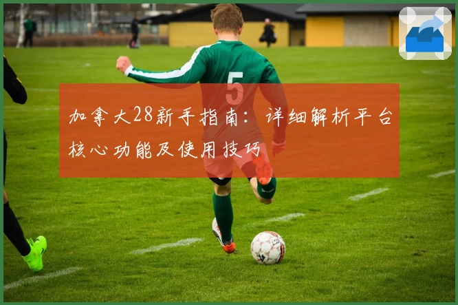 加拿大28新手指南：详细解析平台核心功能及使用技巧