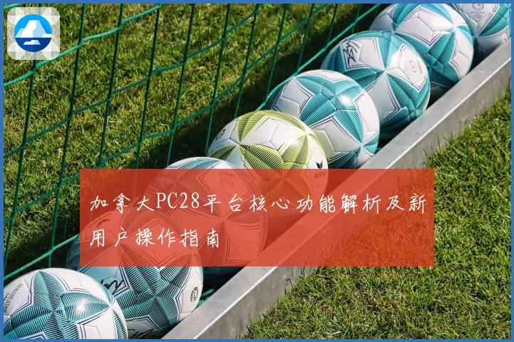 加拿大PC28平台核心功能解析及新用户操作指南