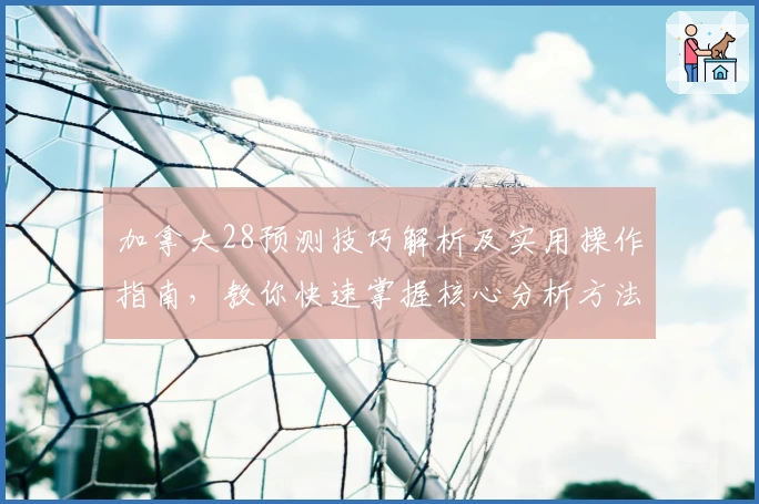 加拿大28预测技巧解析及实用操作指南，教你快速掌握核心分析方法