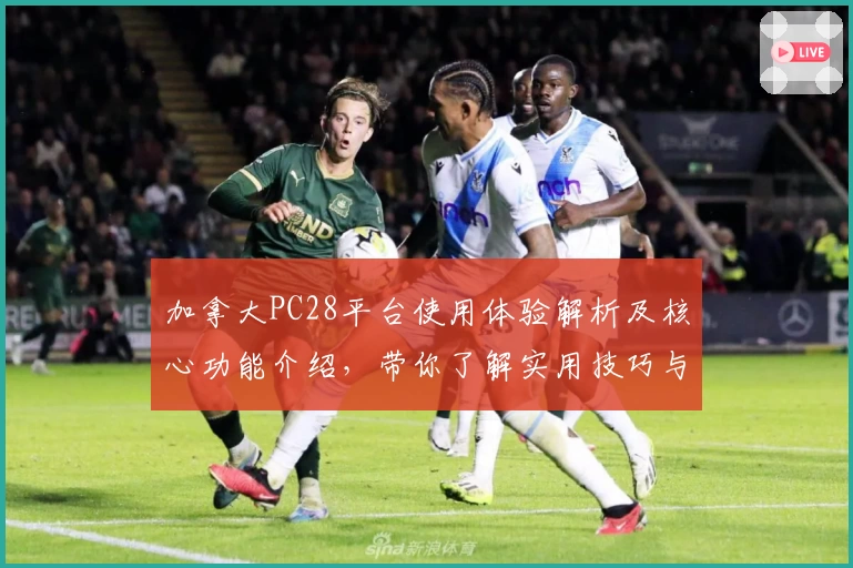 加拿大PC28平台使用体验解析及核心功能介绍,带你了解实用技巧与新手入门说明