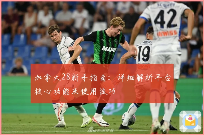 加拿大28新手指南：详细解析平台核心功能及使用技巧